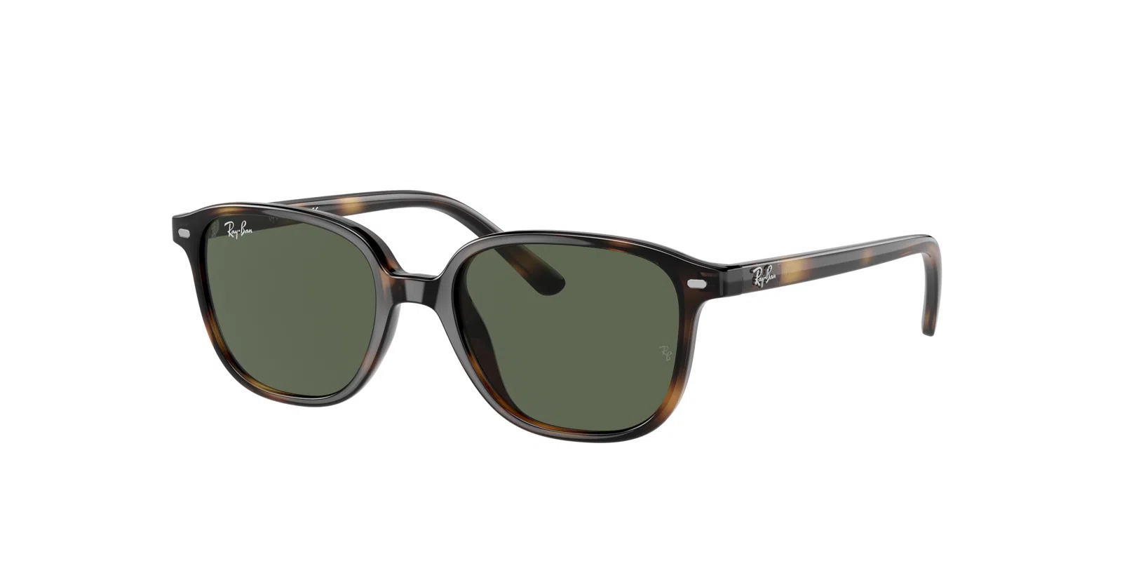Ray-Ban Kids Leonard Jr 0RJ9093S Sunglasses - view 45